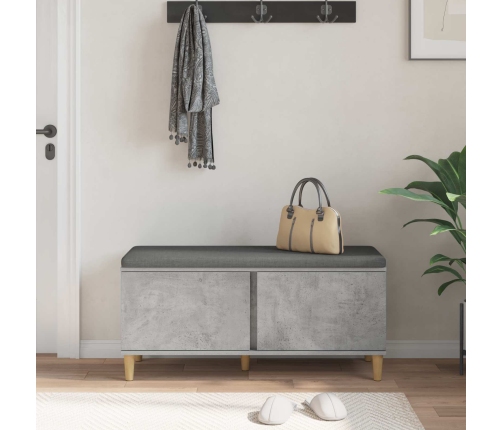 Zāles Sols Ar Spilvenu Ar Durvīm Betona Pelēks 60 X 38 X 46 Cm Vidaxl