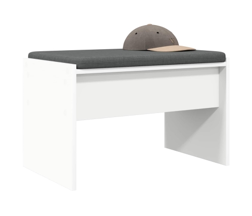 Zāles Sols Ar Spilvenu Balts 63 X 38 X 40 Cm Vidaxl