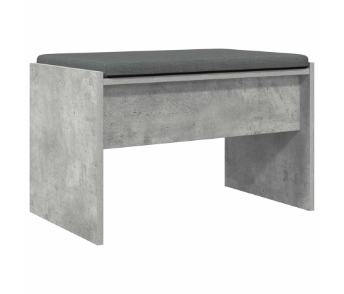 Zāles Sols Ar Spilvenu Betona Pelēks 63 X 38 X 40 Cm Vidaxl