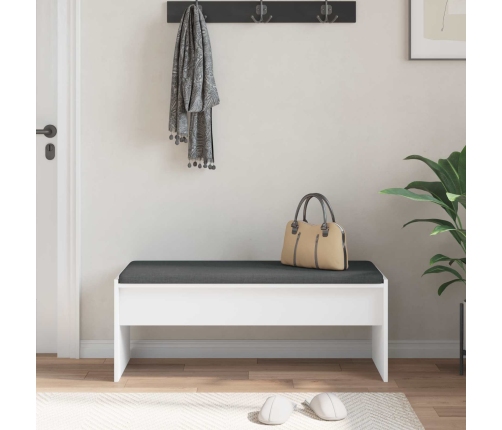 Zāles Sols Ar Spilvenu Balts 103 X 38 X 40 Cm Vidaxl