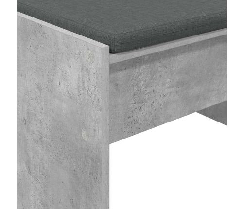 Zāles Sols Ar Spilvenu Betona Pelēks 103 X 38 X 40 Cm Vidaxl