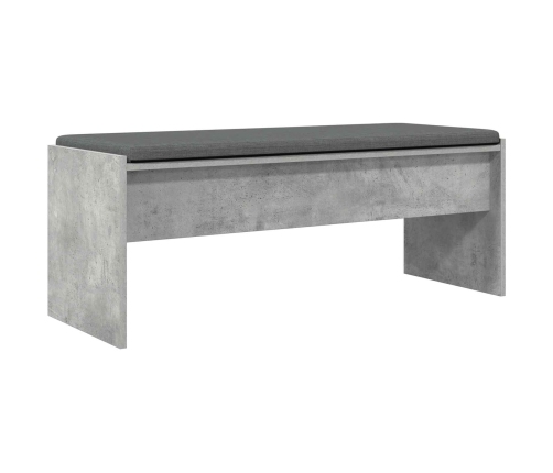 Zāles Sols Ar Spilvenu Betona Pelēks 103 X 38 X 40 Cm Vidaxl