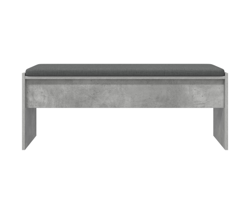 Zāles Sols Ar Spilvenu Betona Pelēks 103 X 38 X 40 Cm Vidaxl