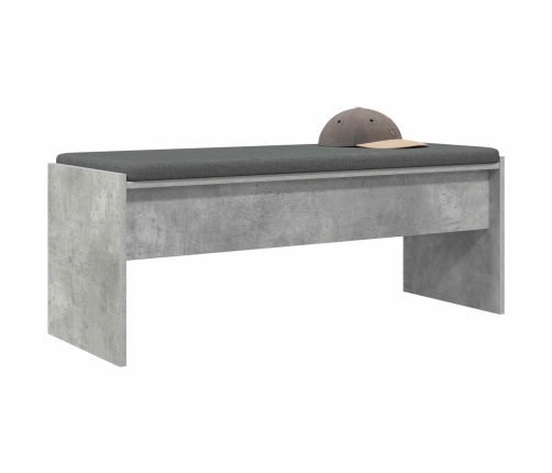 Zāles Sols Ar Spilvenu Betona Pelēks 103 X 38 X 40 Cm Vidaxl