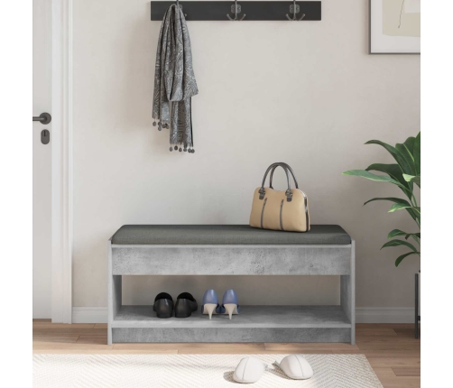 Zāles Sols Ar Spilvenu Betona Pelēks 103 X 38 X 45 Cm Vidaxl