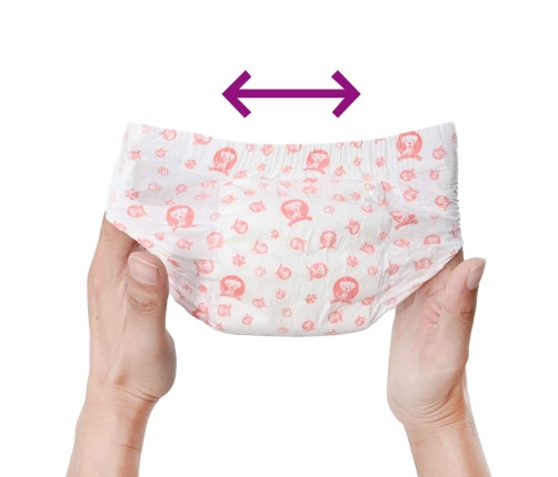 Vienreizējās Lietošanas Suņu Autiņbikses Mātītēm 50 Pcs Xs Vidaxl