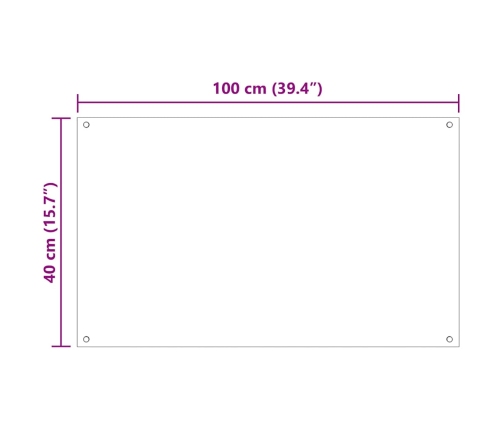 Virtuves Aizsargpanelis 2 Pcs Caurspīdīgs 100 X 40 Cm Vidaxl