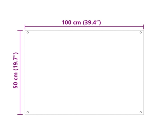 Virtuves Aizsargpanelis 2 Pcs Caurspīdīgs 100 X 50 Cm Vidaxl