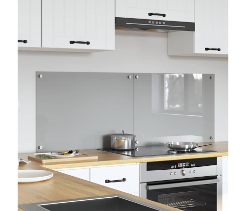Virtuves Aizsargpanelis 2 Pcs Gaiši Pelēks 70 X 50 Cm Vidaxl