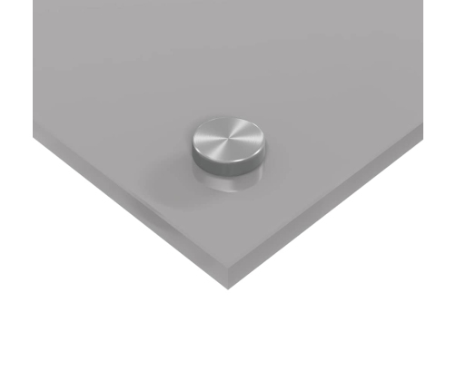 Virtuves Aizsargpanelis 2 Pcs Gaiši Pelēks 70 X 60 Cm Vidaxl