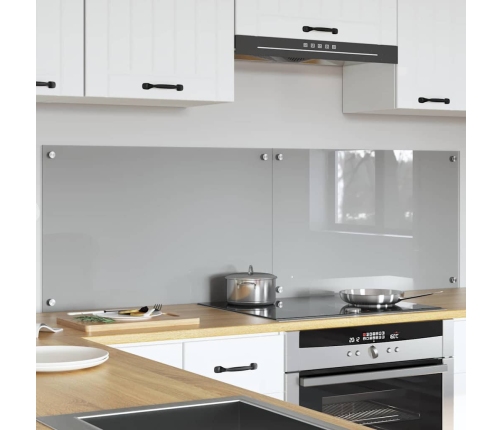 Virtuves Aizsargpanelis 2 Pcs Gaiši Pelēks 80 X 50 Cm Vidaxl