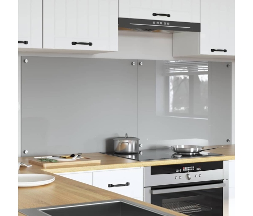 Virtuves Aizsargpanelis 2 Pcs Gaiši Pelēks 80 X 60 Cm Vidaxl