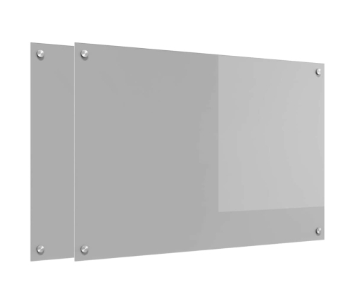 Virtuves Aizsargpanelis 2 Pcs Gaiši Pelēks 90 X 60 Cm Vidaxl