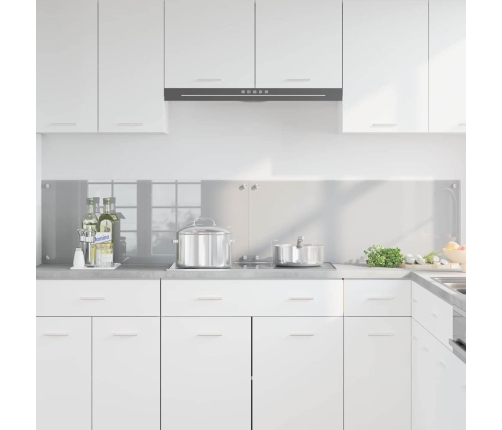 Virtuves Aizsargpanelis 2 Pcs Gaiši Pelēks 100 X 40 Cm Vidaxl