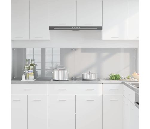 Virtuves Aizsargpanelis 2 Pcs Gaiši Pelēks 100 X 50 Cm Vidaxl