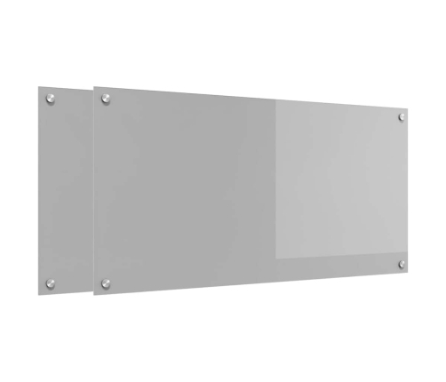 Virtuves Aizsargpanelis 2 Pcs Gaiši Pelēks 100 X 50 Cm Vidaxl