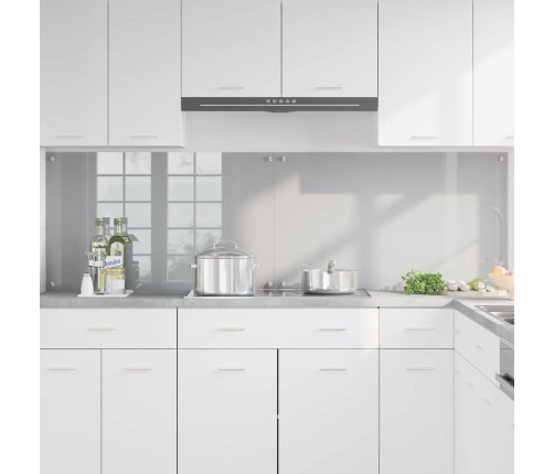 Virtuves Aizsargpanelis 2 Pcs Gaiši Pelēks 100 X 60 Cm Vidaxl