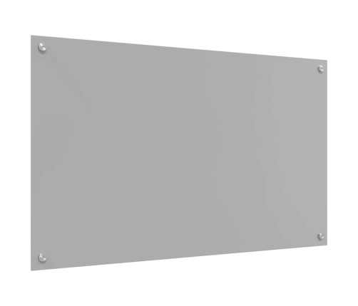 Virtuves Aizsargpanelis 2 Pcs Gaiši Pelēks 100 X 60 Cm Vidaxl