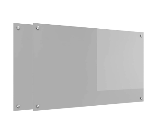Virtuves Aizsargpanelis 2 Pcs Gaiši Pelēks 100 X 60 Cm Vidaxl