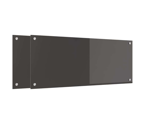 Virtuves Aizsargpanelis 2 Pcs Tumši Pelēks 100 X 40 Cm Vidaxl