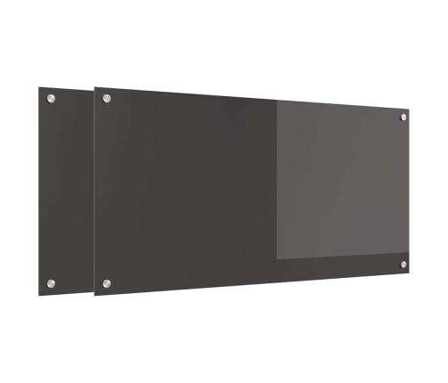 Virtuves Aizsargpanelis 2 Pcs Tumši Pelēks 100 X 50 Cm Vidaxl