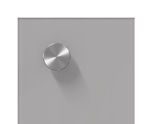 Virtuves Aizsargpanelis 2 Pcs Gaiši Pelēks 110 X 40 Cm Vidaxl