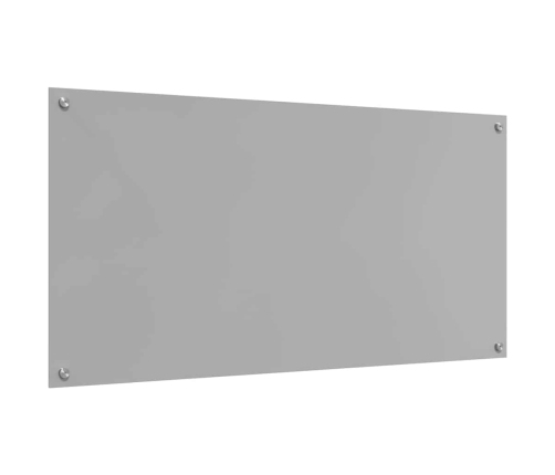 Virtuves Aizsargpanelis 2 Pcs Gaiši Pelēks 120 X 60 Cm Vidaxl