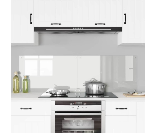 Virtuves Aizsargpanelis Caurspīdīgs 80 X 50 X 0.8 Cm Vidaxl