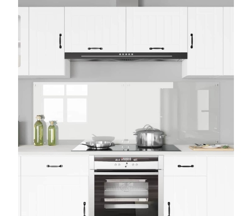 Virtuves Aizsargpanelis Caurspīdīgs 90 X 60 X 0.8 Cm Vidaxl