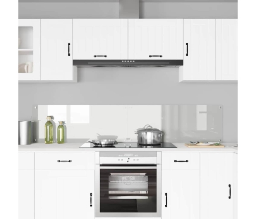 Virtuves Aizsargpanelis Caurspīdīgs 100 X 40 X 0.8 Cm Vidaxl