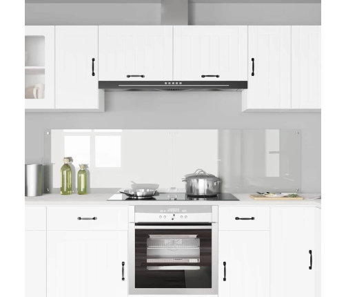 Virtuves Aizsargpanelis Caurspīdīgs 100 X 50 X 0.8 Cm Vidaxl