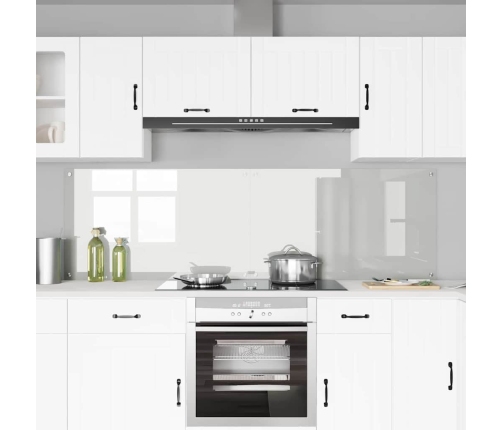 Virtuves Aizsargpanelis Caurspīdīgs 100 X 60 X 0.8 Cm Vidaxl