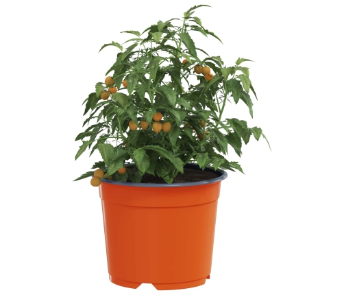 Ziedu Pods 200 Pcs Keramika Ø 15 X 12.5 Cm Plastmasa Vidaxl