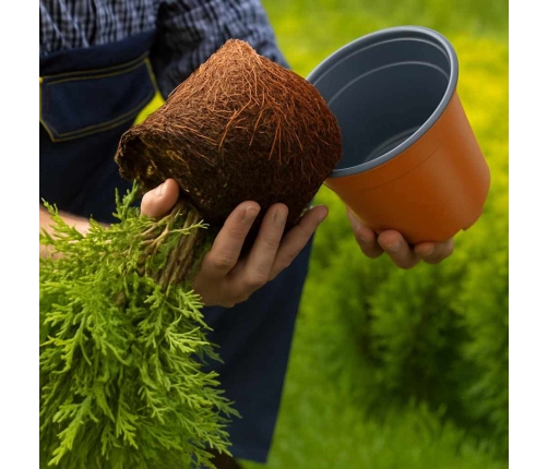 Ziedu Pods 100 Pcs Keramika Ø 15 X 12.5 Cm Plastmasa Vidaxl