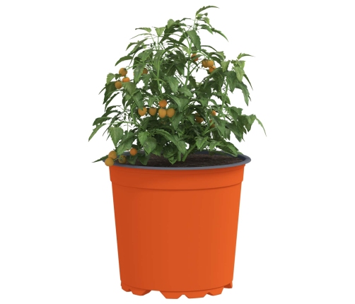 Ziedu Pods 100 Pcs Keramika Ø 15 X 12.5 Cm Plastmasa Vidaxl