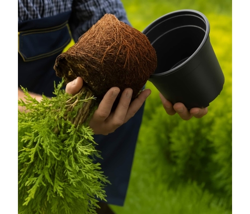 Ziedu Pods 100 Pcs Melna Ø 15 X 12.5 Cm Plastmasa Vidaxl