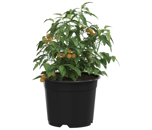 Ziedu Pods 200 Pcs Melna Ø 15 X 12.5 Cm Plastmasa Vidaxl