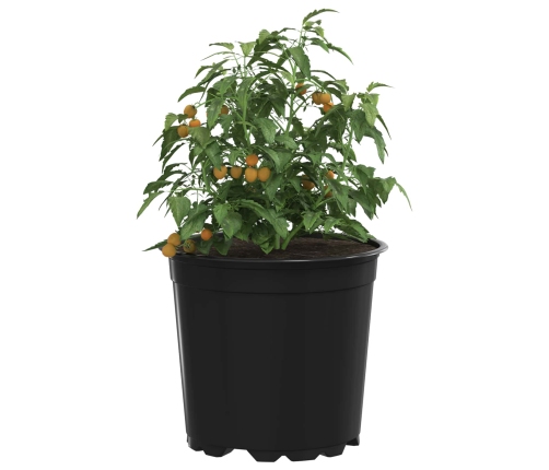 Ziedu Pods 100 Pcs Melna Ø 15 X 12.5 Cm Plastmasa Vidaxl