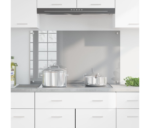 Virtuves Atpakaļgaismā Gaiši Pelēks 100X60X0,6 Cm Rūdīts Stikls Vidaxl