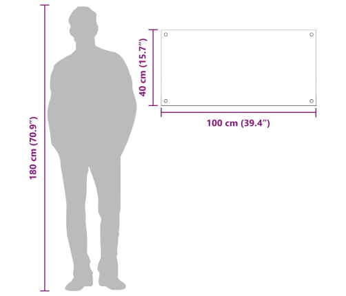 Virtuves Aizsargstikls Tumši Pelēks 100X40X0,6 Cm Rūdīts Stikls Vidaxl
