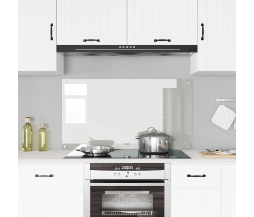 Virtuves Aizmugures Paneļu Caurspīdīgs 120X60X0,6 Cm Temperēts Stikls Vidaxl