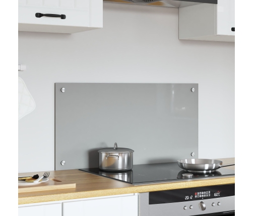 Virtuves Apgaismojums Gaiši Pelēks 80X40X0,6 Cm Rūdīts Stikls Vidaxl