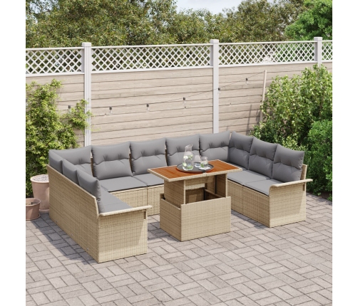 10 Gabalu Dārza Ēdamgalds Ar Spilveniem Bēšs Poli Rotangpalma Akācija Vidaxl