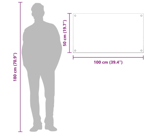 Virtuves Aizsargpaneļi Gaiši Pelēki 100X50X0,6 Cm Rūdīts Stikls Vidaxl
