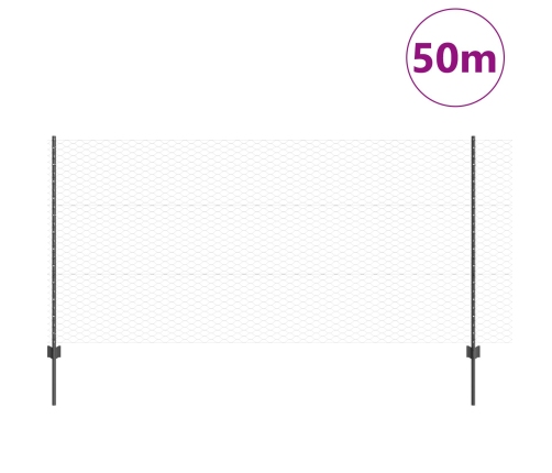 Vidaxl Žogu Stabi 22 Gab U-Kanāls Pelēks 120 Cm Tērauds,  Sešstūra Žogs Pelēks 1.2 X 50 M Tērauds Vidaxl