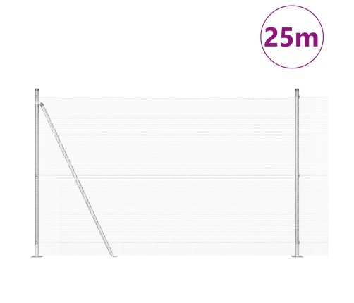 Vidaxl Cinkotais Stieples Žogs Ar 13 Flangotiem Stabiem 1.6X25 M Cinkots Tērauds