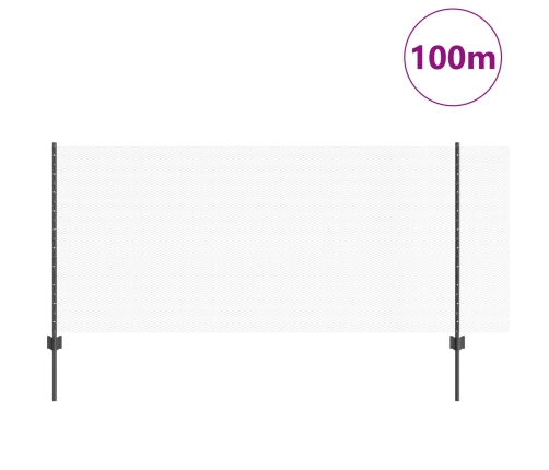 Vidaxl Žoga Stabi 22 Gab. U-Kanāla Pelēki 100 Cm Tērauds,  Sešstūrains Žogs Pelēks 1X100 M Tērauds Vidaxl