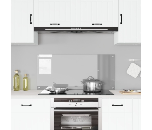 Virtuves Sienas Apgaismojums Gaiši Pelēks 110X50X0,6 Cm Temperēts Stikls Vidaxl