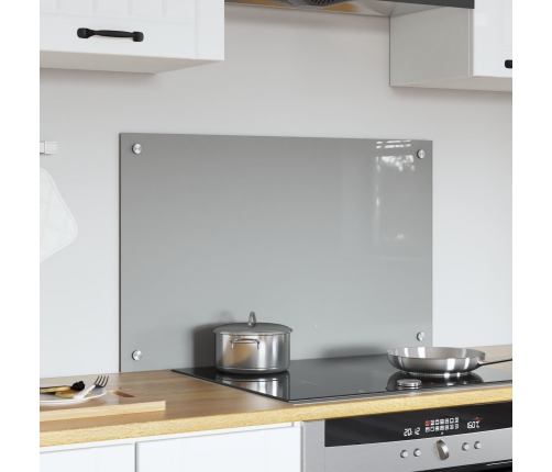 Virtuves Aizsargpanelis Gaiši Pelēks 80X50X0,6 Cm, Temperēts Stikls Vidaxl
