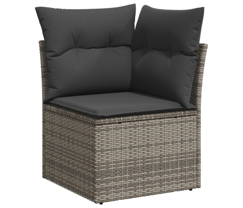 10 Daļu Dārza Dīvānu Komplekts Ar Spilveniem Pelēkā Polietilēna Rotangpalmas Vidaxl